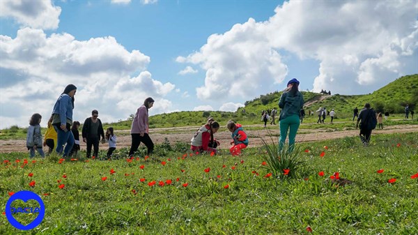 טיול פריחה בדרום לחברי מועדון דאצ'יה - תמונת גלריה 5
