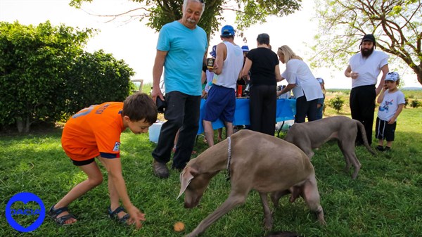 טיול לעמק המעיינות לחברי מועדון דאצ'יה - תמונת גלריה 2