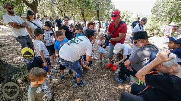 טיול בהר הכרמל - תמונת גלריה 11