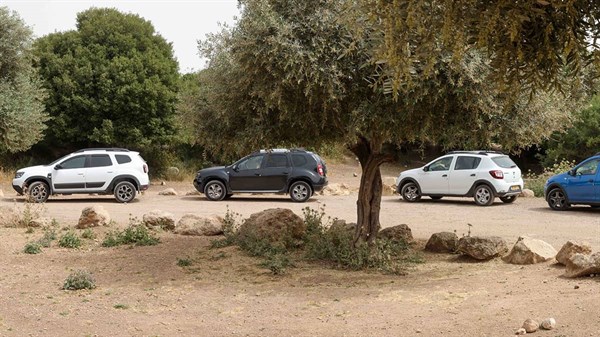 טיול מועדון דאצ'יה בשפלת יהודה תמונת גלריה 1