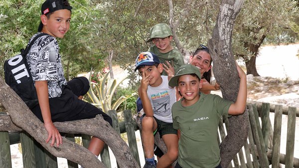טיול מועדון דאצ'יה בשפלת יהודה תמונת גלריה 10