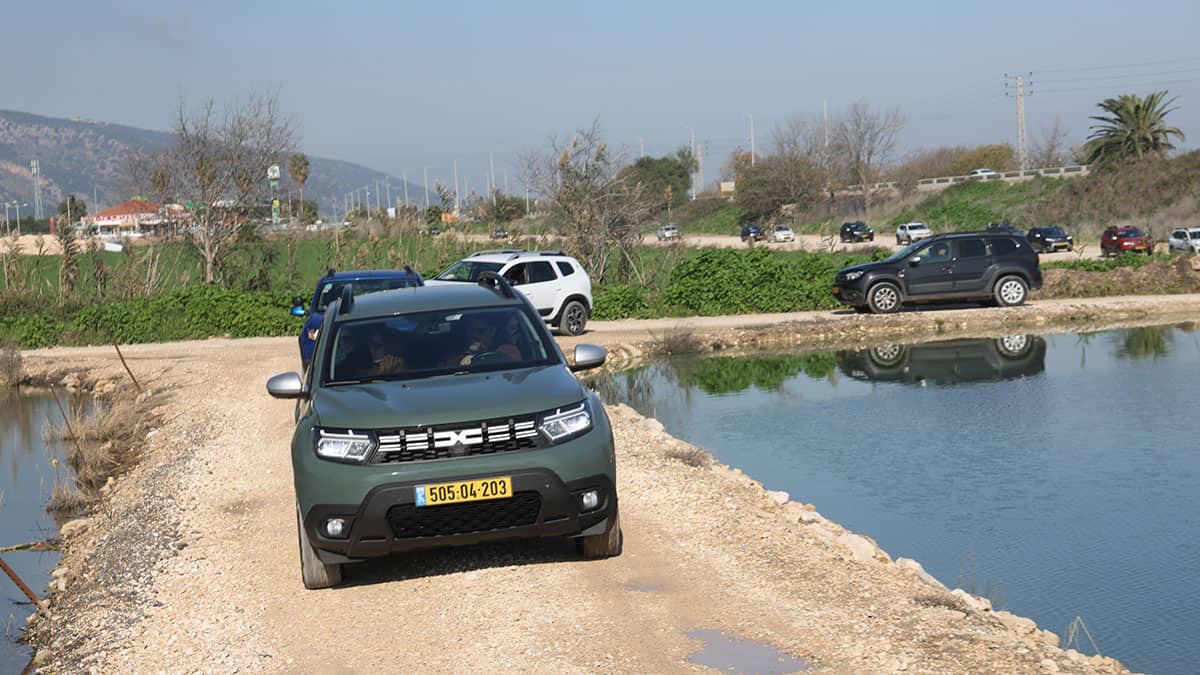 טיול רקפות ושלוליות ברמות מנשה תמונת גלריה 3