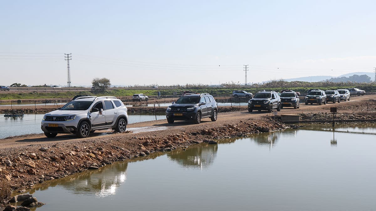טיול רקפות ושלוליות ברמות מנשה תמונת גלריה 4