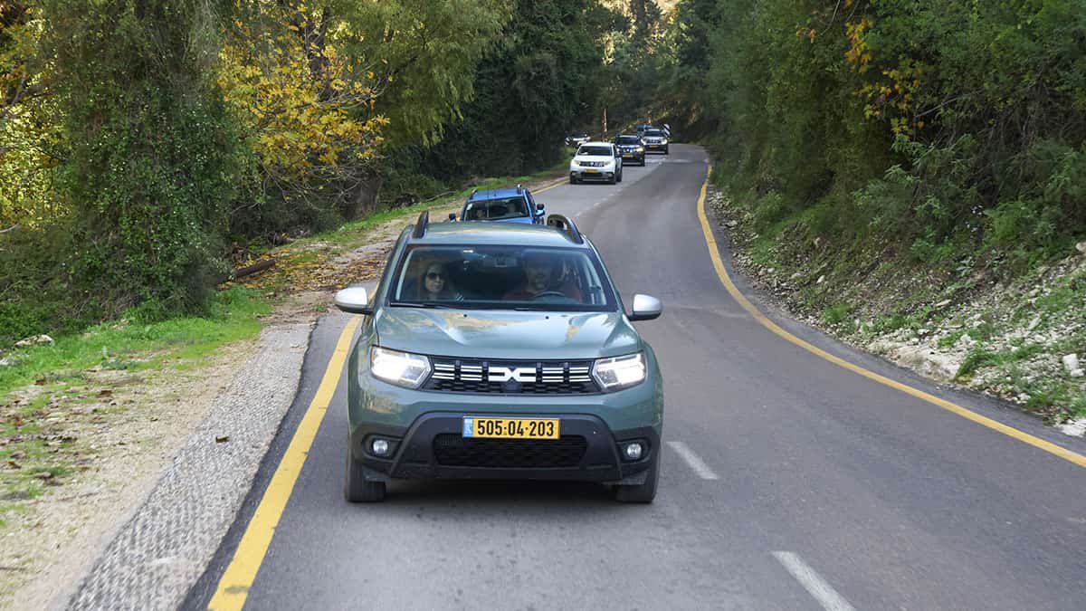 טיול רקפות ושלוליות ברמות מנשה תמונת גלריה 6
