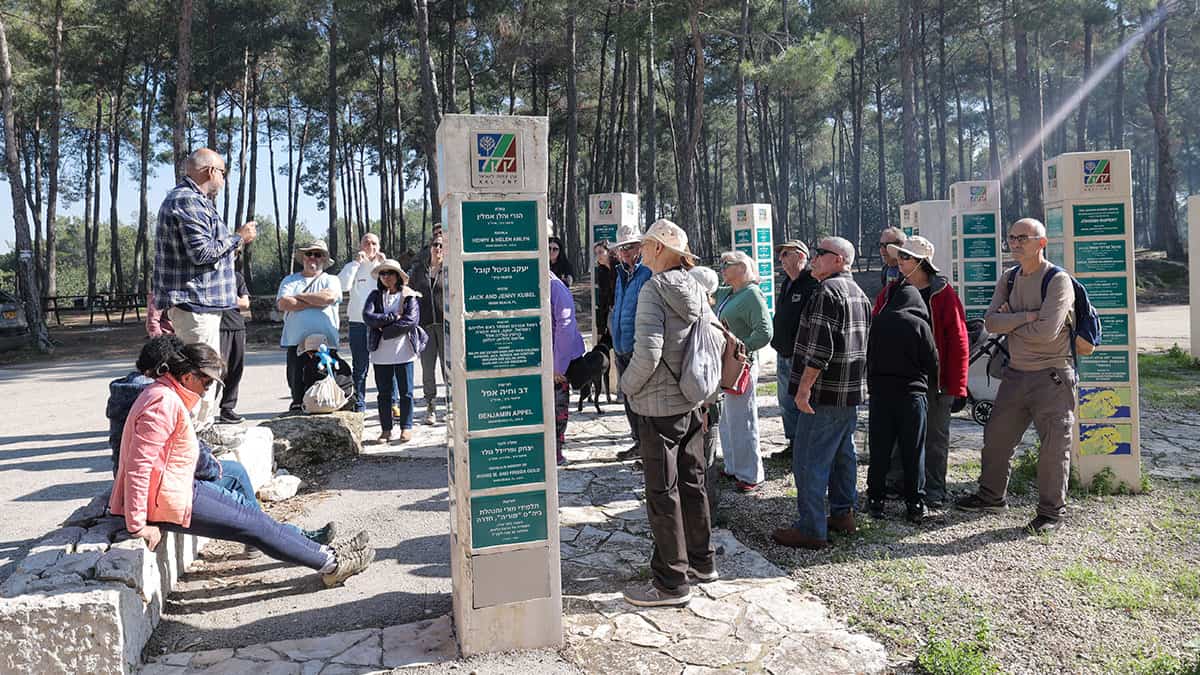 טיול רקפות ושלוליות ברמות מנשה תמונת גלריה 8