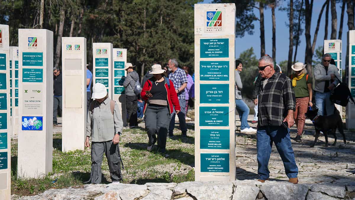 טיול רקפות ושלוליות ברמות מנשה תמונת גלריה 9