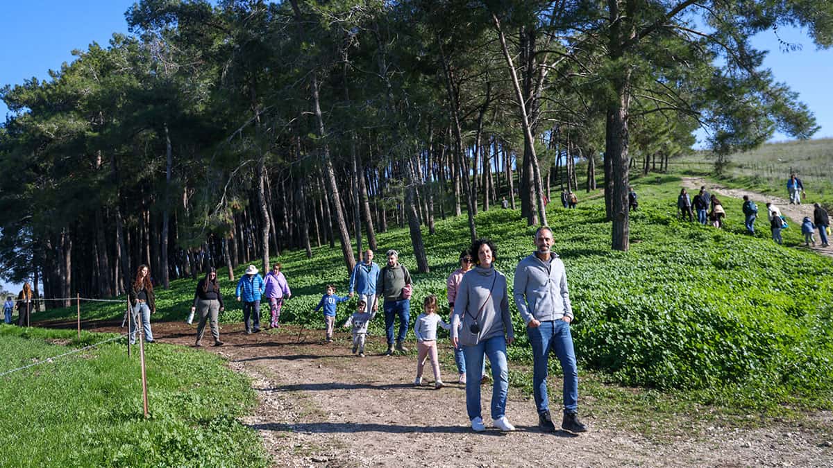 טיול רקפות ושלוליות ברמות מנשה תמונת גלריה 12
