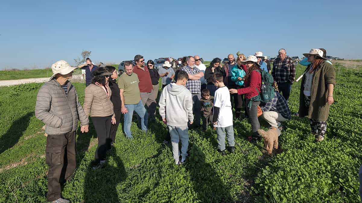 טיול רקפות ושלוליות ברמות מנשה תמונת גלריה 18